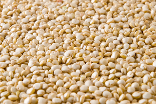 quinoa.jpg